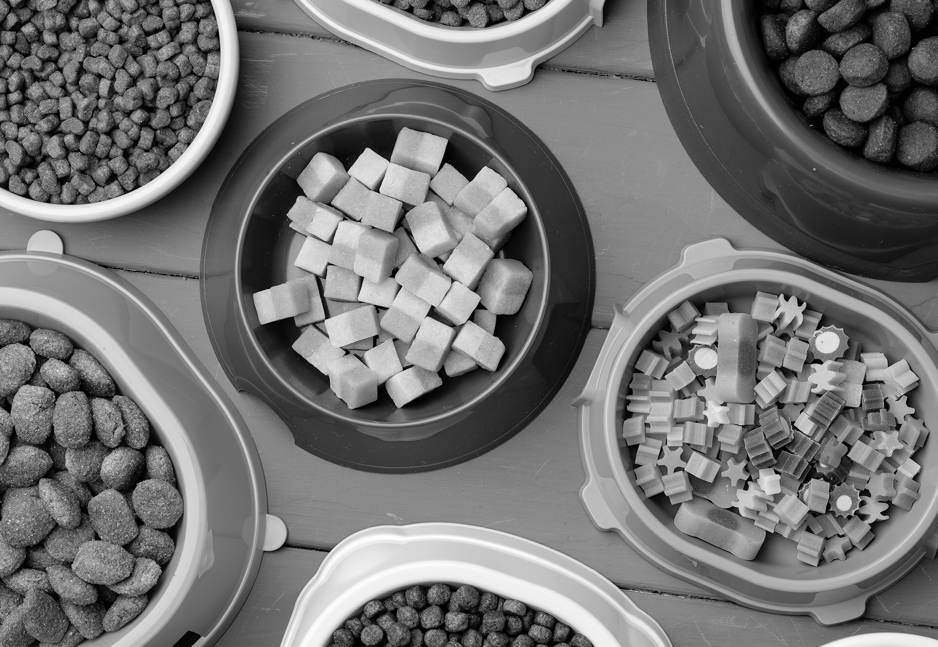 Evcil Hayvan Gıdası